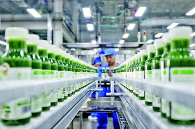 山東智繪藍圖 畜牧漁業飼料銷售動能澎湃